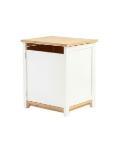 Ash Branch Freestanding Laundry Folding Counter - White (synthetic illustration; no displayed measurements)