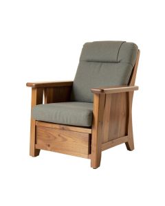 29.1 '' Wide Power Lift Assist Standard Recliner (synthetic illustration; no displayed measurements)