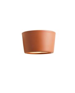 Meadow Branch Wall Sconce Mounted On A Plain Wall - Terracotta (synthetic illustration; no displayed measurements)