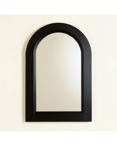 Dune Branch Framed Wall Mirror - Black (synthetic illustration; no displayed measurements)