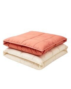 Azaleh All Season Microfiber Down Alternative Comforter