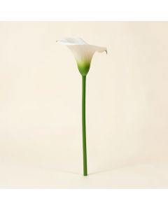 Calla Lily Stem (synthetic illustration; no displayed measurements)