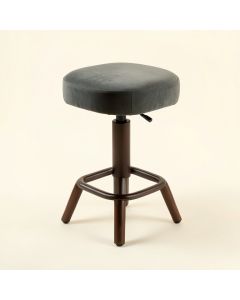 Neriah Swivel Bar & Counter Stool (synthetic illustration; no displayed measurements)