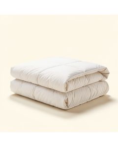 Gathney Reversible Comforter Set (synthetic illustration; no displayed measurements)