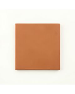Moss Crossing Uninstalled Square Decorative Tile - Terracotta (synthetic illustration; no displayed measurements)