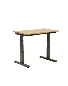 Doreatha Height Adjustable Standing Desk (synthetic illustration; no displayed measurements)