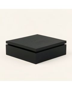 Wren Branch Desktop Monitor Riser - Black (synthetic illustration; no displayed measurements)