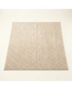 Summit Bluff Rectangular Area Rug - Beige (synthetic illustration; no displayed measurements)