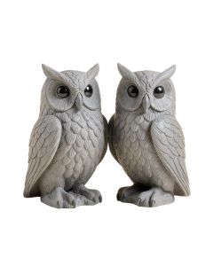2 Piece Ogling Outdoor Owl Garden Statue Set
