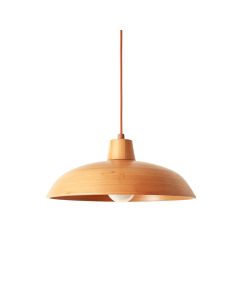 Spruce Bend Pendant Light Suspended From One Plain Cable - Terracotta (synthetic illustration; no displayed measurements)