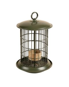 Forever 3 Quart Sunflower Nyjer/Thistle Feeder (synthetic illustration; no displayed measurements)