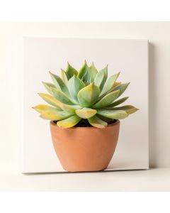Succulent - Print On Canvas (synthetic illustration; no displayed measurements)