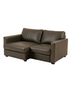 Twin Convertible Sofa
