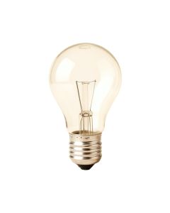 Lamp Bulb5