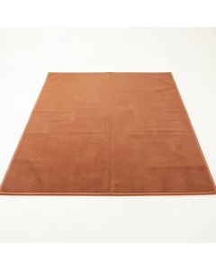 Hazel Branch Rectangular Outdoor Rug - Terracotta (synthetic illustration; no displayed measurements)