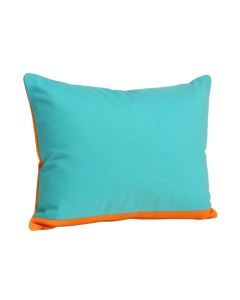Agapius Rectangular Throw Pillow (synthetic illustration; no displayed measurements)