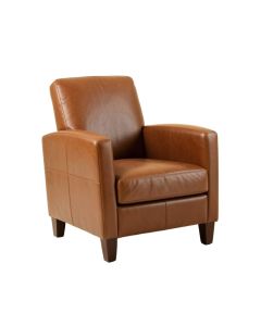 Ahupendra Faux Leather Arm Chair (synthetic illustration; no displayed measurements)