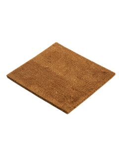 Gregg Cactus Welcome 29 In . X 17 In . Non-Slip Outdoor Door Mat (synthetic illustration; no displayed measurements)