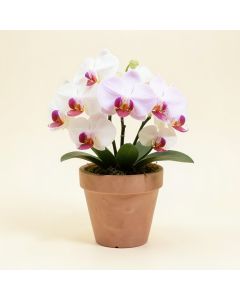Artificial Orchids Floral Arrangement In Planter (synthetic illustration; no displayed measurements)