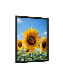 Sunflower Sky Photographic Print