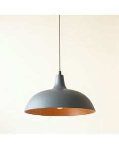 Pine Dale Pendant Light Suspended From One Plain Cable - Gray (synthetic illustration; no displayed measurements)