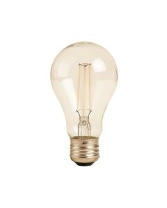Antique Incandescent Light Bulb