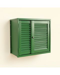 Glen Canyon Wall-Mounted Entry Cabinet - Green (synthetic illustration; no displayed measurements)