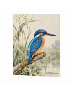 Alcedo Bengalensis Kingfisher - Unframed Graphic Art Print
