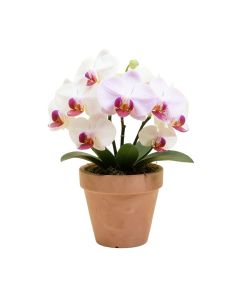 Artificial Orchids Floral Arrangement In Planter