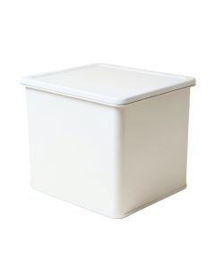 Aspen Branch Closed Outdoor Storage Box - White (synthetic illustration; no displayed measurements)