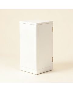 Didier Lighted Corner Display Stand (synthetic illustration; no displayed measurements)