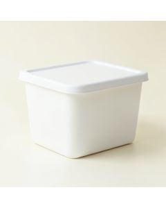 Fern Bridge Closed Outdoor Storage Box - White (synthetic illustration; no displayed measurements)