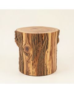Mader Solid Wood Tree Stump End Table (synthetic illustration; no displayed measurements)