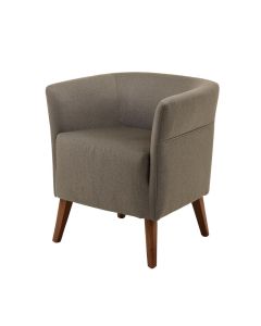 Neeley Arm Chair (synthetic illustration; no displayed measurements)
