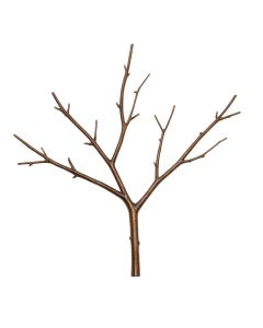 2 Piece Metal Branch Wall Décor Set