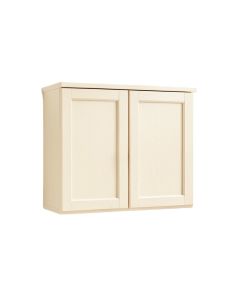 Lake Canyon Wall-Mounted Entry Cabinet - Ivory (synthetic illustration; no displayed measurements)