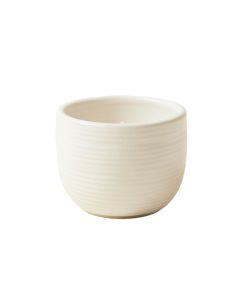 Olive Brook Empty Candle Holder - White (synthetic illustration; no displayed measurements)