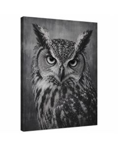 The Owl By Nicklas Gustafsson - Wrapped Canvas Graphic Art Print