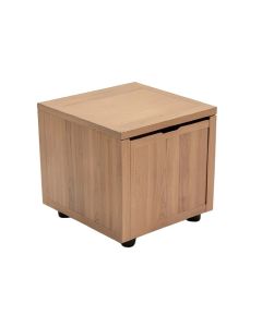 Wilfried Rectangular End Table With Storage (synthetic illustration; no displayed measurements)