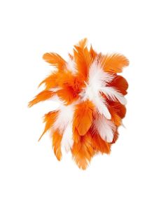 Feather Wall Décor