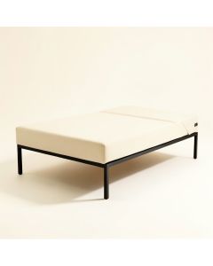 Parnassus Twin Daybed (synthetic illustration; no displayed measurements)