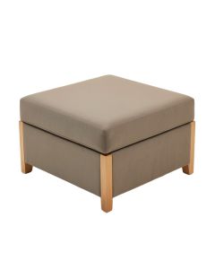 18 '' Square Standard Ottoman (synthetic illustration; no displayed measurements)