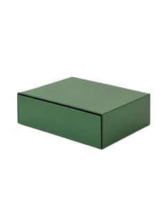 Briar Canyon Desktop Monitor Riser - Green (synthetic illustration; no displayed measurements)