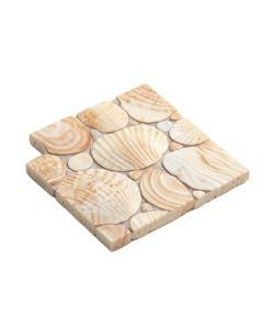1 '' X 1 '' Seashell Mosaic Tile In Natural