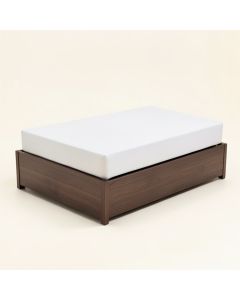 Feddo Daybed With Trundle (synthetic illustration; no displayed measurements)