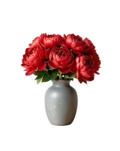 Peonies In A Vase On A Table By Gabriel Schachinger - Picture Frame Print On Canvas