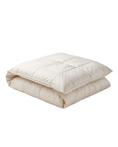 Anahita Comforter Set (synthetic illustration; no displayed measurements)