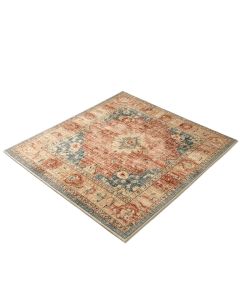 Multi-Colored Area Rug