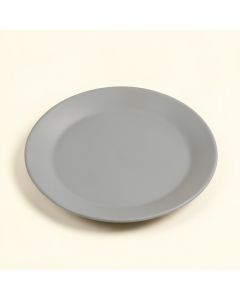 Sighwaldi 9 '' Melamine Salad Plate (synthetic illustration; no displayed measurements)