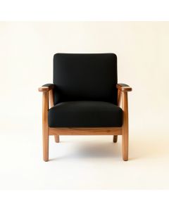 Bay Bluff Upholstered Armchair - Black (synthetic illustration; no displayed measurements)